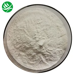 High Quality Sweetener Momordica Grosvenori Extract Mogroside V 10%-50% Mogroside Powder