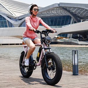Venta caliente Super Electric Bike 73 20 "x 4,0 Rueda Bicicleta Electrica 48V 500W 750W Motor EBike 14.4Ah Batería Fat Tire Ebike - Product Image 4