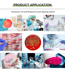 Factory Price Petri Dishes Plastic Laboratory Consumables HOT SALE Bulk Well-shaped Petri Dish Sterilized Plastic 90*20 Mm