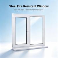 Fenêtre fixe en acier moderne non isolée, résistante au feu, certifiée FW60 BS476, verre ignifuge, apprêté, solution complète