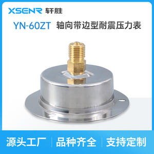 Manomètre axial anti-vibrations à montage sur panneau Suzhou Xuansheng YN60ZT, 60 mm, acier inoxydable, précision 2,5 bar MPa - Product Image 5
