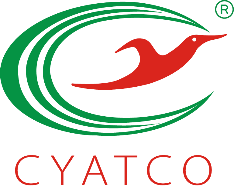 Guangdong Chuangya Acoustic Technology Co., Ltd. logo