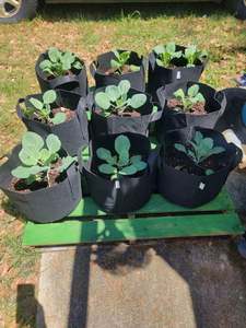 Bolsas de Cultivo para Jardinería de 5 Galones, Gruesas, No Tejidas, de 8x8 Pulgadas, con Asa de Cinta, Macetas con Logotipo Personalizado para Almacenamiento - Product Image 3