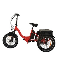 Tricycle électrique de 20 pouces à entraînement central, 48V, vélo à panier arrière à 3 roues avec gros pneus, vélo de montagne électrique pour la conduite hors route