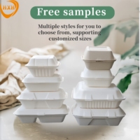 Biologisch Abbaubare Kompostierbare Umweltfreundliche Aseptische Flachbox Nudel-Lebensmittelverpackung Mikrowellengeeignet Gefriergeeignet Selbstaufstellende Boxen