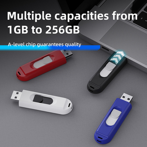 <span class=keywords><strong>Chiavetta</strong></span> <span class=keywords><strong>USB</strong></span> Personalizzata in Offerta, Memoria Flash Veloce per Computer, 128GB 64GB 8GB 16GB 32GB, Guscio in Plastica con Logo Personalizzato - Product Image 2