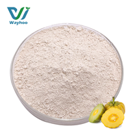 Hoogwaardig Hydroxycitroenzuur 65% Garcinia Cambogia Extract Poeder