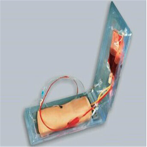 BIX-HS10 tiên tiến khuỷu tay venipuncture đào tạo mô hình đa chức năng y tế khoa học công cụ trong đúng tỷ lệ - Product Image 4