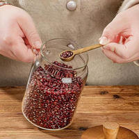 Bocaux cylindriques en verre borosilicate avec couvercles en bois, poignées et cuillères – Contenants hermétiques pour sel et sucre de cuisine