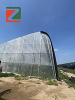 Serre de type tunnel de la marque ZHUOTAI avec couverture en film et système de ventilation pour la culture des fraises et autres légumes
