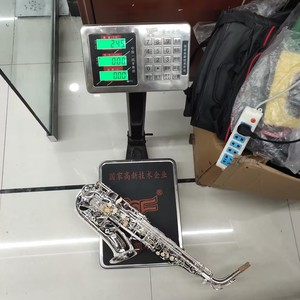 Saxophone alto professionnel SLADE Brand Factory, argenté, plaqué argent, instrument à vent en laiton, clés en argent Eb - Product Image 6