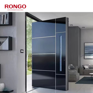 Porta d'Ingresso Pivotante in Acciaio Inox per Villa Moderna - Product Image 1