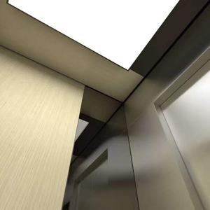 Ascensor Residencial Personalizado en Oferta, Elevador Hidráulico Tipo Cápsula con Accionamiento Silencioso AC y Piso de PVC de Lujo - Product Image 2