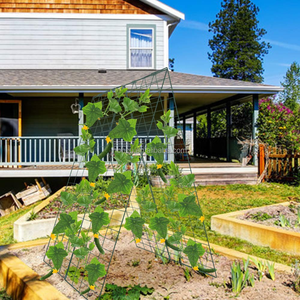 Treillis pliable en forme de A pour les plantes grimpantes de <span class=keywords><strong>concombre</strong></span>, les légumes et les fleurs - Product Image 4