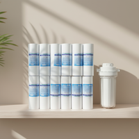 Cartouche filtrante en PP soufflé à chaud de 5, 10, 20, 30, 40 pouces pour système de filtration d'eau domestique