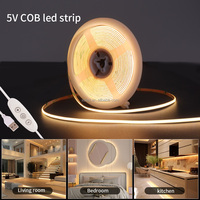 Tira COB regulable USB de alta densidad 480 LED/M 5M Flexible 4mm cinta LED iluminación de paisaje inteligente blanco cálido/frío DC 5V RA90 App