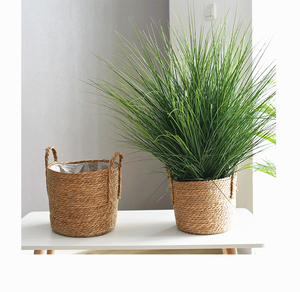<span class=keywords><strong>Maceta</strong></span> tejida a mano de césped gigante nórdico, cesta de almacenamiento de algas marinas, <span class=keywords><strong>maceta</strong></span> de flores verdes, para interior - Product Image 6