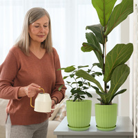 Pots de fleurs en plastique rayés avec drainage et soucoupe, pots décoratifs nordiques pour plantes d'intérieur