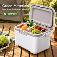 Ensemble de boîtes isothermes 10QT 16QT, glacière à poignée, en mousse PP PU, sans odeur, matériau écologique, logo imprimé, fournisseur ODM