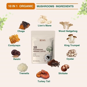 Odm/OEM nhãn hiệu riêng nấm cà phê tốt cho tập Trung Bộ nhớ và khả năng miễn dịch hiệu quả sản phẩm làm đẹp cho người lớn - Product Image 2