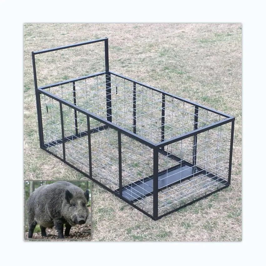 Controle de gaiola de caça de humane, armadilha para porco selvagem com animais grandes