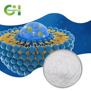 المكمل الغذائي للحديد الشحمي المصمم خصيصًا للبالغين. - Product Image 1