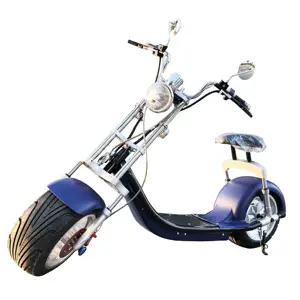 2000w motor 2 wheel electric scooter with front suspension citycoco electric bike