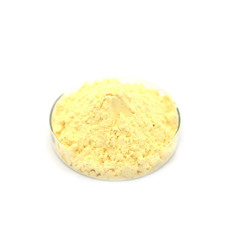 Top Quality Fisetin Fruitbody plant extract Powder cas 528-48-3 Pure 98% Fisetin