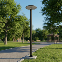 Lampe de rue LED solaire IP65 rechargeable avec piles AAA, télécommande, corps en aluminium, intensité variable, certifiée CE pour usage en jardin