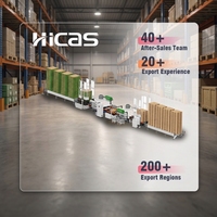 Línea de Pintura Automática para Palés de Madera HICAS SF1000PPS, Pulverización de Doble Cara para Palés EUR, 5-6 Palés/Min para PLC