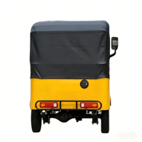 Mototaxi con Techo Impermeable para Servicio Todo el Año, Carga Pesada, Descuento