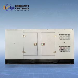 Generatore Diesel Professionale Ricardo Super Silenzioso 50KVA 40kw Monofase con Uscita AC e ATS per Backup Energetico Esterno - Prodotto in Cina - Product Image 3
