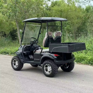 Carrito de Golf Eléctrico de 2 Plazas, Ideal para Mantenimiento de Campos de Golf, Transporte en Jardines, Construcción Resistente para Carreteras No Públicas - Product Image 2
