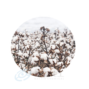 Baijin 100% Cotton Hữu Cơ Chất Liệu Bông Tẩy Trắng Chất Lượng Cao Bột Giấy Cho Giấy Mịn - Product Image 5