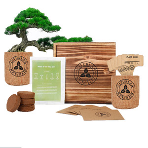 Customized Indoor Mini Bonsai Tree Growing Kit Complete for Gardening Women or Men as Wood Gift Box