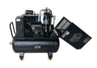 Économie d'énergie et haute efficacité à faible bruit 3kw avec réservoir d'air 100L 220V 50HZ Mini compresseur d'air à vis portable
