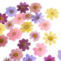 Kit Resin Epoksi DIY untuk Anting Bunga Gesang, Poppy, Daisy, Aksesoris Perhiasan Bergaya Hutan Ultra-Fairy, Buatan Tangan Murni