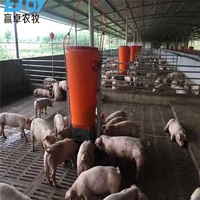Hangar préfabriqué à structure en acier professionnel Construction de ferme porcine clé en main personnalisée pour porcherie