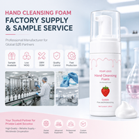 Savon Moussant pour les Mains Parfumé à la Fraise, Format Voyage, Vegan, Sans Cruauté, pour Enfants et Adultes, Rafraîchissant, Éliminant les Odeurs, Combatant les Germes