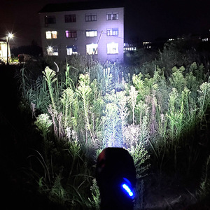 Lampe de poche LED rechargeable Luomen P50, 3000 mAh, en alliage d'aluminium, lampe de poche d'extérieur, charge USB, lumière blanche - Product Image 1
