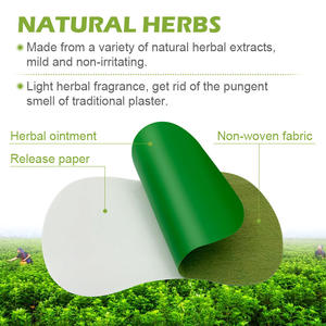 KanyeHB Patchs Détoxifiants pour les Pieds à l'Armoise, Modèle W011, Durée de Conservation 6 Mois, 12 Comprimés - Product Image 5