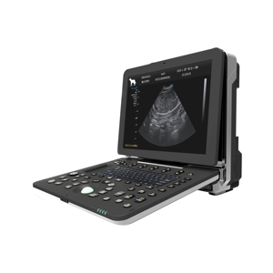 Máquina de Ultrasonido Veterinaria Portátil Dawei, <span class=keywords><strong>Precio</strong></span> de Máquina de Ultrasonido para Animales, <span class=keywords><strong>Repro</strong></span> Scan, Máquina de Ultrasonido para Serpientes - Product Image 5