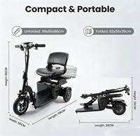 Tricycle électrique pliable pour adultes en stock dans l'entrepôt de l'UE, vélo électrique à 3 roues avec batterie amovible, panier avant, siège confortable, idéal pour les voyages