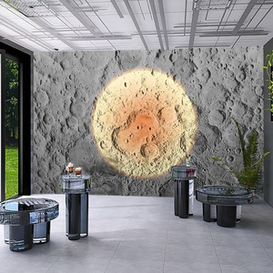 Lune Surface <span class=keywords><strong>Papier</strong></span> <span class=keywords><strong>Peint</strong></span> Lune <span class=keywords><strong>Relief</strong></span> Texture Fond Décoration Murale Conseil Étoile Et Lune <span class=keywords><strong>Pierre</strong></span> Art Cratère Surface <span class=keywords><strong>Papier</strong></span> <span class=keywords><strong>Peint</strong></span> - Product Image 1