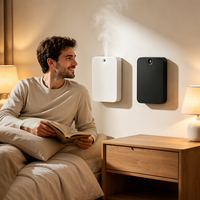 Diffuseur d'arômes sans fil mural, petit, ultrasonique, style personnalisable, vente en gros, parfum d'ambiance