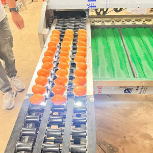 Clasificadora Automática de Tamaño, Calibradora de Huevos, Frutas y Verduras, Máquina Clasificadora de Acero Inoxidable 304 de Alta Capacidad, 50,000 Pesos - Product Image 2