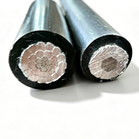 Cable de Aluminio de Bajo Voltaje 0.6/1 KV ABC, Aislamiento de PVC, XLPE y PE, Cable Aéreo Dúplex, Triplex, Cuádruple, 4x70mm2, 50mm2