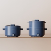 Pot électrique 2L Pot de nourriture pour bébé portable multi-cuiseur pour voyage, hôtel, petite famille, personne seule