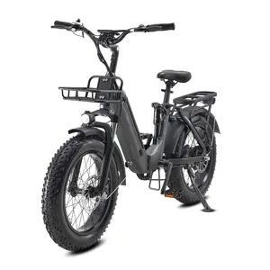 2024 The Best Electric Bike Manufacturer Wholesale OEM ODE 750w 48v 18ah Electric Bicycle Electric Dirt Bikes