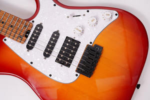 Chitarra Elettrica Premium MOLLO MST-60PK con Pickup Singolo in Acciaio, Manico in Acero Canadese, Tastiera e Corde D'Addario EXL110, Manico a Bulloni - Product Image 5